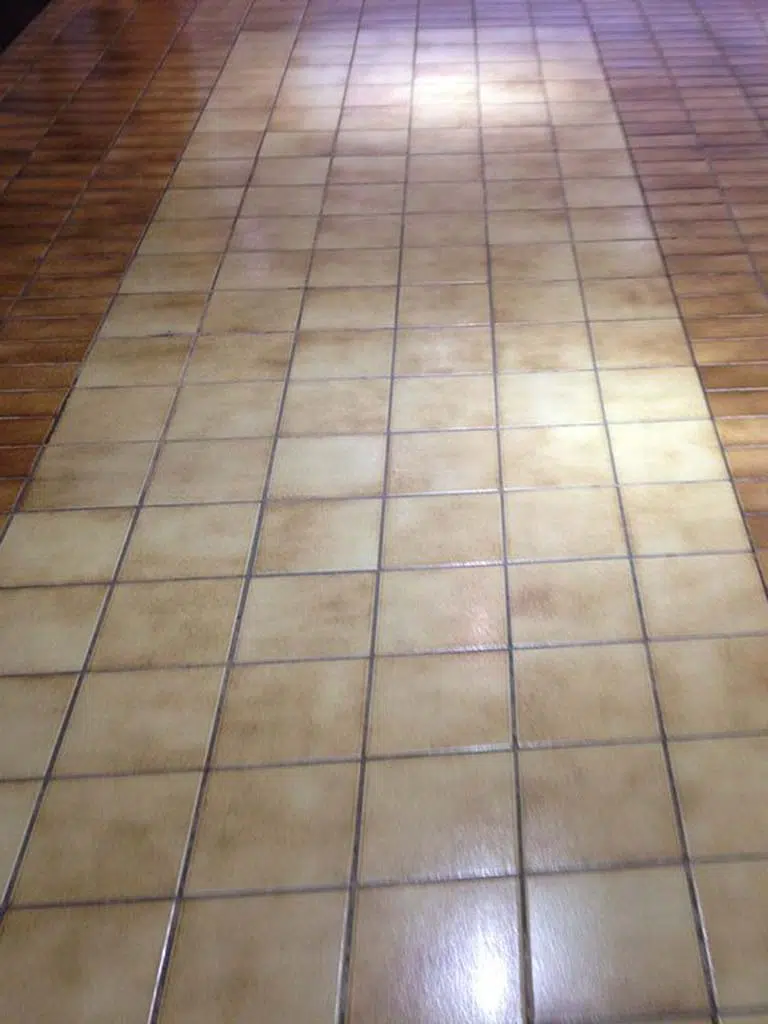Deep cleaning and restoration of terracotta tile floor, NYC.